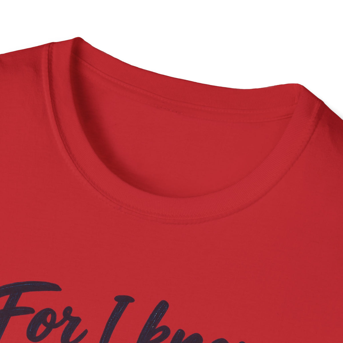 Jeremiah 29:11 Inspirational T‑Shirt — "For I Know the Plans I Have for You" Christian Faith Tee