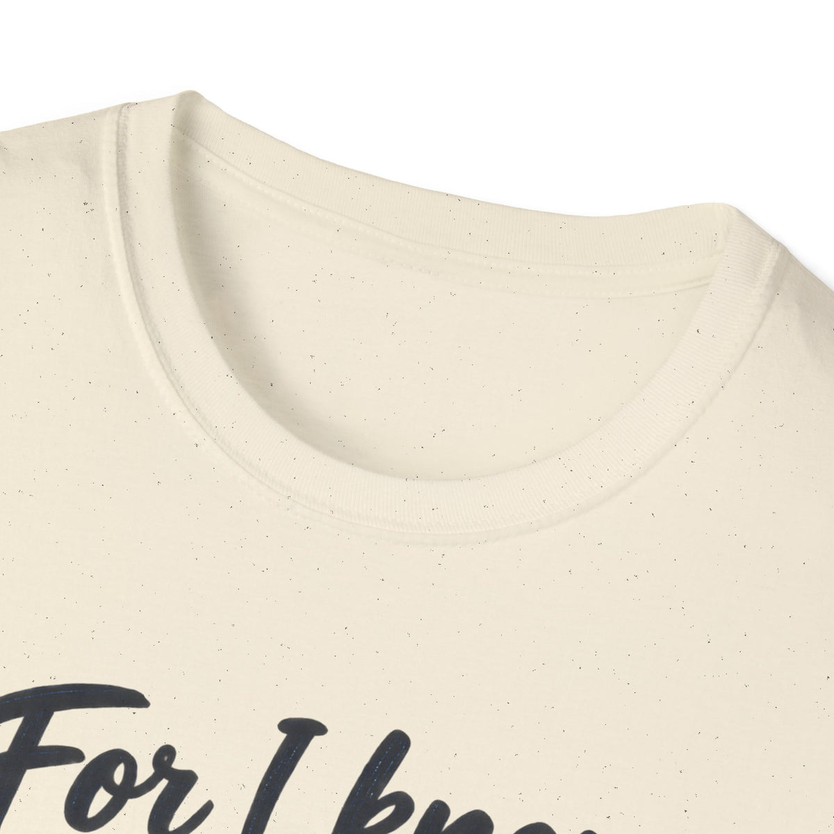 Jeremiah 29:11 Inspirational T‑Shirt — "For I Know the Plans I Have for You" Christian Faith Tee