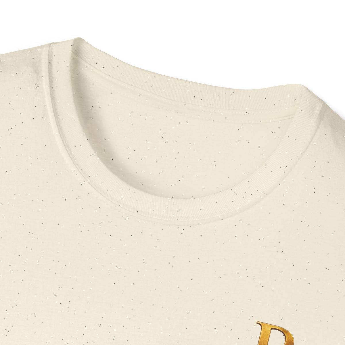 Small Alpha Omega Chi Christian T-Shirt