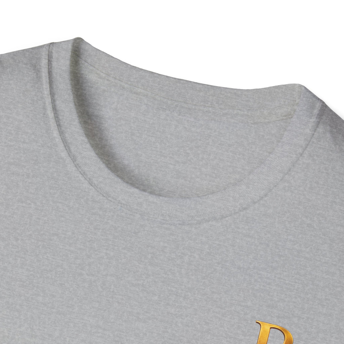 Small Alpha Omega Chi Christian T-Shirt
